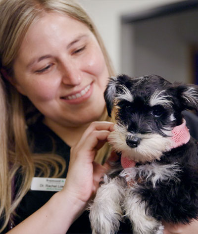 A person with long blonde hair smiles while holding a small black and white puppy wearing a pink harness, possibly just back from the vet. The setting appears to be indoors.