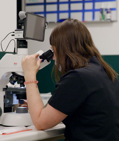 A veterinarian with long brown hair peers into a microscope in a laboratory setting. A monitor attached to the microscope displays an image, while a grid-like board is visible on the wall in the background.