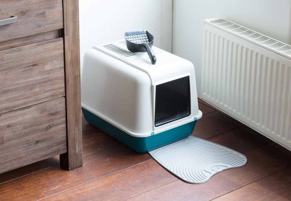 A covered cat litter box with a blue base and white lid sits on a wooden floor next to a radiator, approved by veterinarians for its design. A scoop rests on top, and a ribbed mat extends from the entrance of the box.