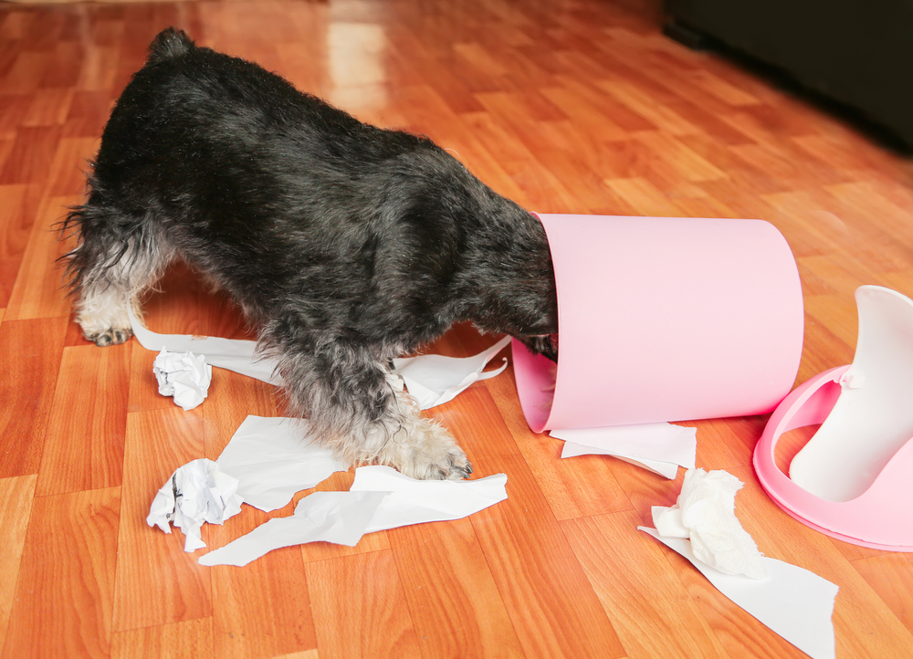 A small black and gray dog, perhaps in need of a vet's guidance, has its head inside a pink overturned trash can on a wooden floor, surrounded by scattered torn paper and debris.