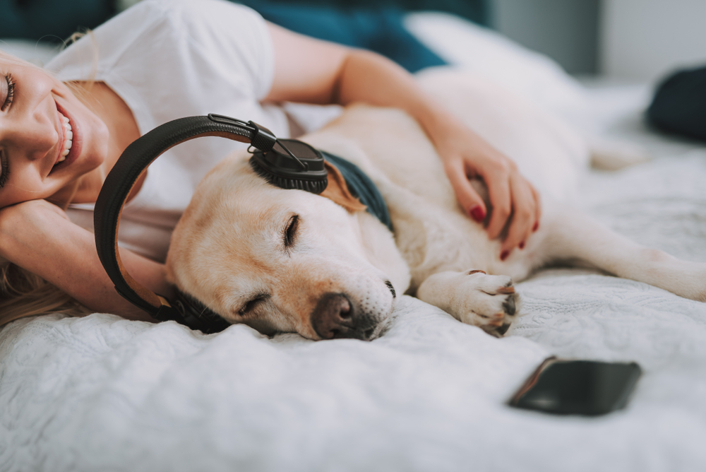 A woman reclines on a bed beside her sleeping Labrador Retriever wearing headphones. She smiles, resting her head on the dog, with a smartphone nearby. The cozy setting reflects the comfort and trust she feels knowing her furry friend is in perfect health, thanks to regular vet check-ups.