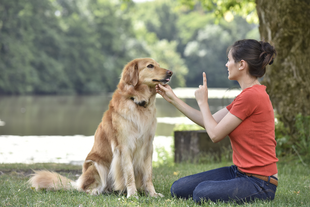 A woman in a red shirt kneels on grassy lakeside ground, training her golden retriever with the expertise of a veterinarian. She raises her index finger, and the dog sits attentively. Majestic trees and serene water form the picturesque backdrop.