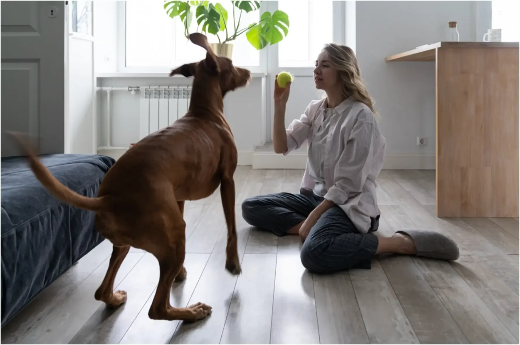 A woman plays with her dog using a DIY enrichment toy