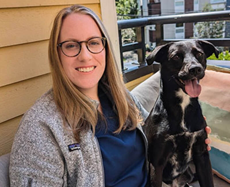 Vet doing a wellness exam on a little dog.