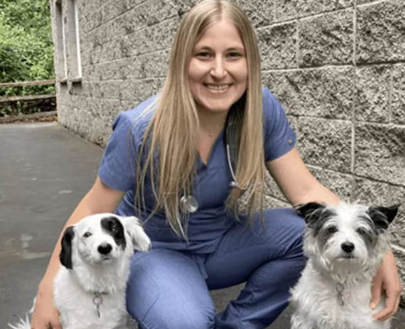 Vet doing a wellness exam on a little dog.